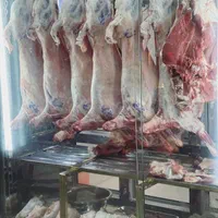 گوشت گوسفندی نرینه گرم