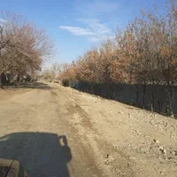فروش  یه قطعه  زمین ۱۰۰۰ متر  سند تک برگ ده عباس|فروش زمین و ملک کلنگی|اسلام‌شهر, ده عباس|دیوار