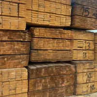 بنایی تختهpخرچیjتخته داربست تخته نما گچ کار نردبان