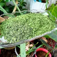 پیاز خشک. نعناع. شوید. میوه