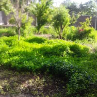 اجاره خانه باغ ویلا شیک مدرن در روستای خبر بافت|اجارهٔ کوتاه‌مدت ویلا و باغ|بافت, |دیوار