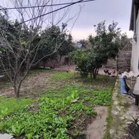 ویلای جنگلی آمل اول بلیران (دهکده توریستی بلیران)|اجارهٔ کوتاه‌مدت ویلا و باغ|آمل, |دیوار