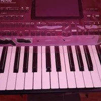 کرگ pa700