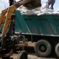 کود ورمی کمپوست پایه ، زمستانه و آلی ، بستر کاشت|خدمات باغبانی و درختکاری|کرمان, |دیوار