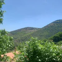 ویلای جنگلی /رستم اباد/سراوان