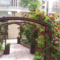 85*متر شیک وتمیز و خوش نقشه*پرده خور(کاشانی/ بهنام|فروش آپارتمان|تهران, اباذر|دیوار