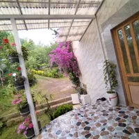 سوییت جنگلی جاده امامزاده ابراهیم|اجارهٔ کوتاه‌مدت آپارتمان و سوئیت|رشت, لاکان|دیوار