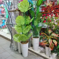 تولیدی گل مصنوعی ریسه آویز شمشاد|گل مصنوعی|کرج, ساسانی (قلمستان)|دیوار