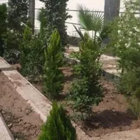 خدمات باغچه کاری و فضای سبز در محل|خدمات باغبانی و درختکاری|اصفهان, کارلادان|دیوار