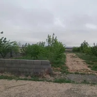 باغ ویلا۵۸۴مترمناسب باغ ویلاگلخانه آرامگاه فردوسی|فروش خانه و ویلا|مشهد, نوچاه|دیوار