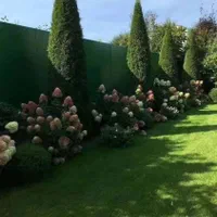 کلیه خدمات فضای سبز وآبیاری قطره ای در کرج و تهران|خدمات باغبانی و درختکاری|کرج, کمال‌شهر|دیوار