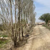 *زمین باغ بدون مشابه ارزنده در دل طبیعت درمهراباد*|فروش زمین و ملک کلنگی|رودهن, |دیوار
