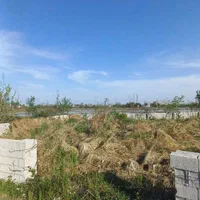 ۸ پلاک زمین ۲۰۰  تا ۳۰۰ متری مسکونی روستایی و شهری|فروش زمین و ملک کلنگی|رضوانشهر, |دیوار