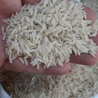 برنج ایرانی چیلویی تحفه گیلان (معطر مجلسی)|خوردنی و آشامیدنی|تبریز, |دیوار