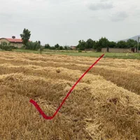 ۵۰۰متر زمین الحاق به بافت دوبر روستای مازیاران|فروش زمین و ملک کلنگی|خان ببین, |دیوار