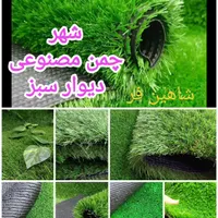 فنس چمنی. گرین وال. باریکه چمن. چمن مصنوعی|خدمات باغبانی و درختکاری|خمینی‌شهر, |دیوار