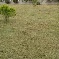 علف زنی|خدمات باغبانی و درختکاری|رشت, نیروی دریایی|دیوار