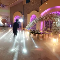 اجرای باشکوه دیجی دایان همراه با راهرو و جایگاه