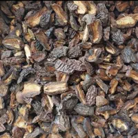 پخش عمده ی چای خرماقهوه جنسینک ماسالا