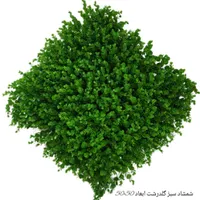دیوار سبز (گرین وال)|گل مصنوعی|مشهد, امیریه|دیوار