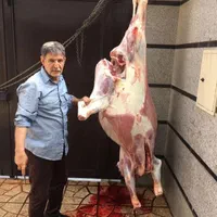 ذبح وقصاب وسلاخ فروش گاو وگوساله وگوسفندشبانه روزی|خدمات پذیرایی، مراسم|تهران, امام زاده حسن|دیوار