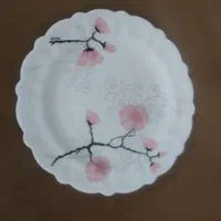 آرکوپال 18نفره ،سرویس غذاخوری