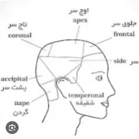 آموزش صفرتاصد آرایشگری ویژه تعطیلی مدارس|خدمات آموزشی|علی‌آباد کتول, |دیوار