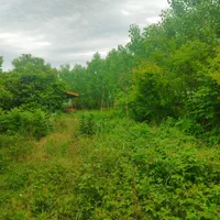 خونه باغ قدیمی ۲/۷۰۰متر سند تک برگ|فروش خانه و ویلا|رضوانشهر, |دیوار