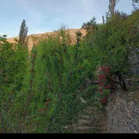 سلام باغ زشک اب برق ۵۰۰ متر|فروش خانه و ویلا|مشهد, حجت|دیوار