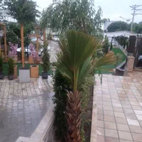 باغ تالارتشریفات مروارید