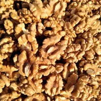 گردو و مغز گردو درصد بالا|عمده‌فروشی|اصفهان, ارغوانیه|دیوار