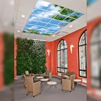 آسمان مجازی و pvc شبکه ۶۰×۶۰