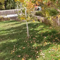 اجاره ویلا داخل دهکده تفریحی چادگان|اجارهٔ کوتاهمدت ویلا و باغ|مبارکه, |دیوار