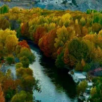 رفتینگ مرادی