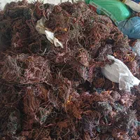 خرید ضایعات آهن وآلومینیوم|عمدهفروشی|اراک, |دیوار