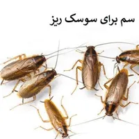 سم پاشی ریشه کنی‌ کامل%100سمپاشی/ انسـجام قــم|خدمات نظافت|قم, پردیسان|دیوار