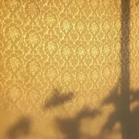 طرحیکاغذدیواری سفیدکاری.