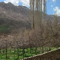 ویلا سند تک برگ در لوکیشن دنج و ارام|فروش خانه و ویلا|فشم, |دیوار