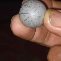 س ن گ ا س ی ا ب