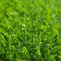 چمن مصنوعی تزئینی و ورزشی|خدمات باغبانی و درختکاری|رشت, بلوار گیلان|دیوار