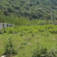 فروش ویژه ی زمین سنددار در سوادکوه|فروش زمین و ملک کلنگی|زیرآب, |دیوار