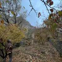 زمین روستای سنگان ۱۱۰۰ متر|فروش زمین و ملک کلنگی|تهران, کن|دیوار
