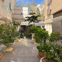 فروش آپارتمان ۲۱۹ متربا ۱۰۰ مترحیاط اختصاصی برپارک|فروش آپارتمان|اصفهان, باغ نگاره|دیوار