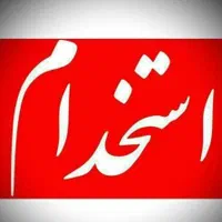 تعدادی نیروی آقا در فست فود