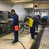 خدمات سمپاشی،سم پاشی تضمینی موریانه