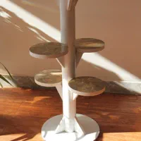 جای گلدان ۵ تایی فومیزه|گل و گیاه طبیعی|اصفهان, باغ فدک|دیوار