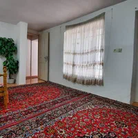 سوئیت سید محمد مهدی