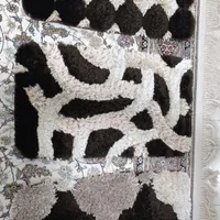 پادری شگی