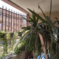 ۱۱۰ متر۲ خواب ط اول/ مجتمع پزشکی صبا/ انسجام بنیاد|اجارهٔ آپارتمان|قم, انسجام|دیوار