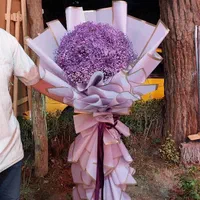 دسته گل ژیپس (عروس)